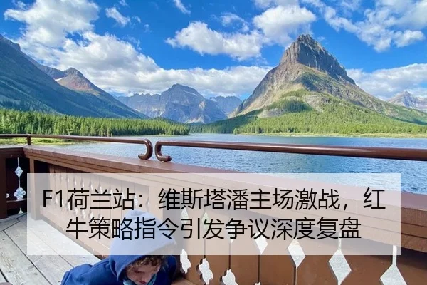 he-lan-zhan-wei-si-ta-pan-zhu-chang-ji-zhan-hong-niu-ce-lve-zhi-ling-yin-fa-zheng-yi-shen-du-fu-pan-2-386.jpg